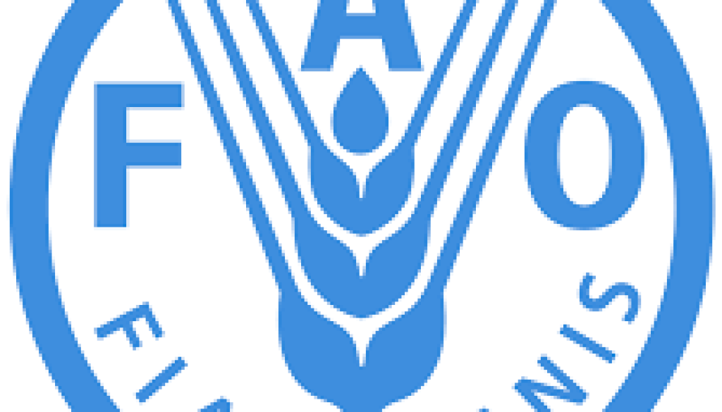 Land and Water Officer (Water Resources and Governance Assessment) Vacancy-Job Ref: ECITFAO/1002/202463